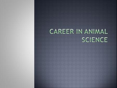  Scientists, Engineers, and Related Specialists- perform research to improve the competitive position of agriculture in the United States.  Animal scientist,