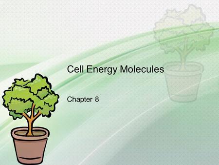 Cell Energy Molecules Chapter 8. What you need to know! How the process of chemiosmosis utilizes the electrons from NADH and FADH 2 to produce ATP How.