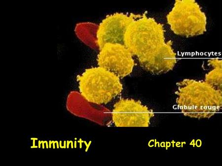 Immunity Chapter 40. What is a disease? Any change that disrupts the normal function of the body Not caused by injury Causes = Genetic (DNA mutation),