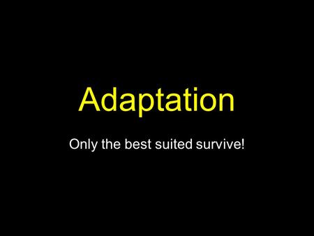 Adaptation Only the best suited survive!. Adaptation: An organism’s physical traits or behaviors that helps it survive in its environment Adaptations.