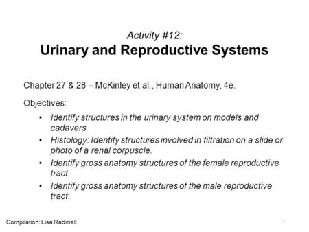 Activity #12: Urinary and Reproductive Systems