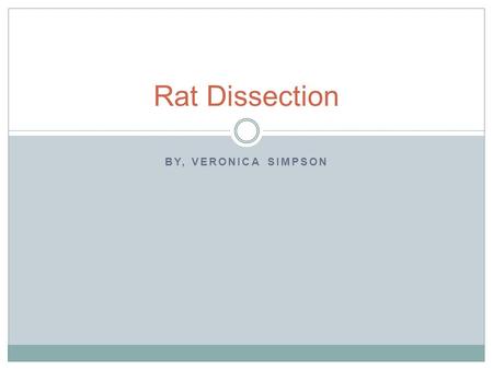 Rat Dissection By, Veronica Simpson.