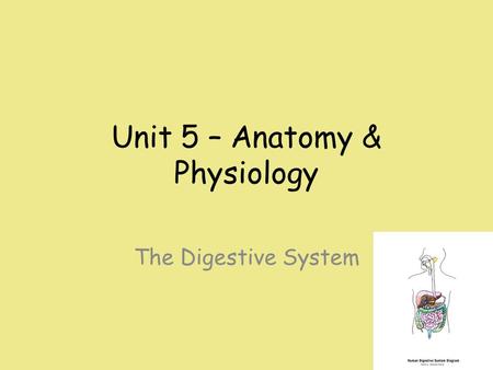 Unit 5 – Anatomy & Physiology