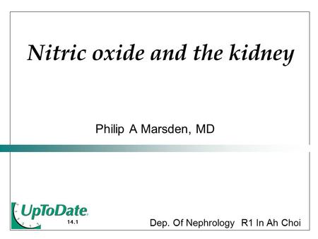 14.1 Philip A Marsden, MD Nitric oxide and the kidney Dep. Of Nephrology R1 In Ah Choi.