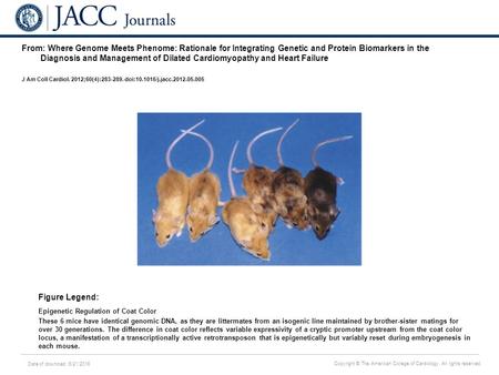 Date of download: 6/21/2016 Copyright © The American College of Cardiology. All rights reserved. From: Where Genome Meets Phenome: Rationale for Integrating.