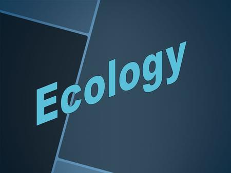 Ecology  Study of interactions between - energy and the environment  Study of interactions between - living and non-living stuff  Study of interactions.