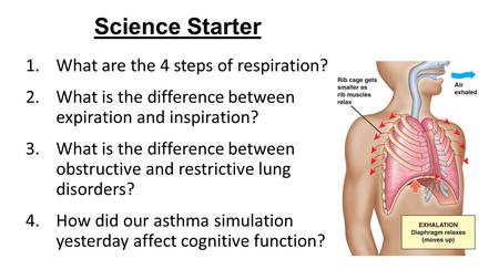 Science Starter 1.What are the 4 steps of respiration? 2.What is the difference between expiration and inspiration? 3.What is the difference between obstructive.