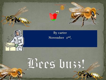 By carter November 2 nd,. Bees are born Breath air Grow die.