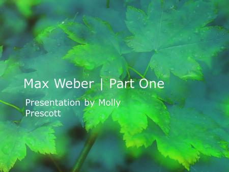 Max Weber | Part One Presentation by Molly Prescott.