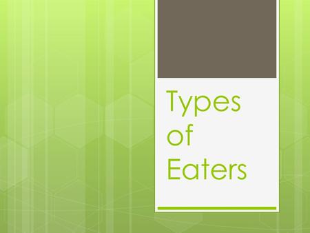 Types of Eaters. Carnivore  An animal that gets food from killing and eating other animals  Generally eat herbivores, but can eat omnivores also  Important.