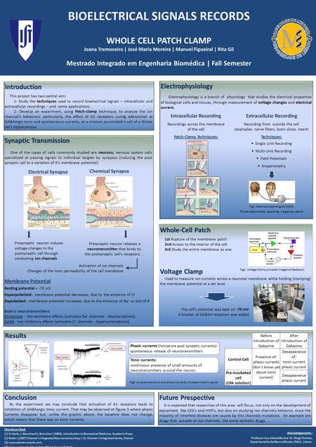 BIOELECTRICAL SIGNALS RECORDS WHOLE CELL PATCH CLAMP Joana Tremoceiro | José Maria Moreira | Manuel Figueiral | Rita Gil Mestrado Integrado em Engenharia.