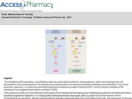 Date of download: 6/21/2016 Copyright © 2016 McGraw-Hill Education. All rights reserved. The hedgehog (Hh) signaling—a proliferative pathway especially.