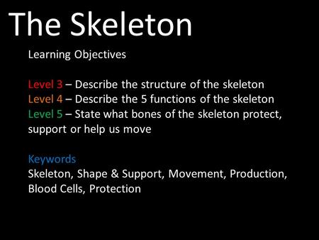 The Skeleton Learning Objectives Level 3 – Describe the structure of the skeleton Level 4 – Describe the 5 functions of the skeleton Level 5 – State what.