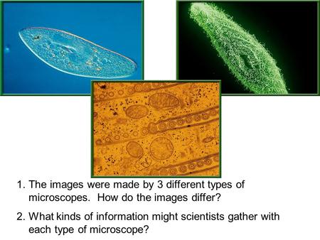 1.The images were made by 3 different types of microscopes. How do the images differ? 2.What kinds of information might scientists gather with each type.