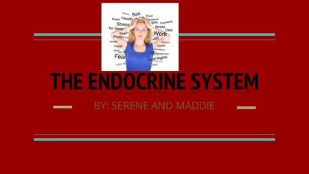 THE ENDOCRINE SYSTEM BY: SERENE AND MADDIE. The Endocrine system The endocrine system is made up of several different glands which are just organs that.