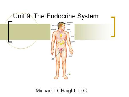 Unit 9: The Endocrine System Michael D. Haight, D.C.