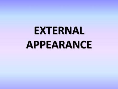 EXTERNAL APPEARANCE.