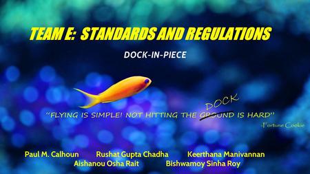 TEAM E: STANDARDS AND REGULATIONS DOCK-IN-PIECE Paul M. Calhoun Rushat Gupta Chadha Keerthana Manivannan Aishanou Osha Rait Bishwamoy Sinha Roy.