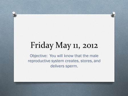 Friday May 11, 2012 Objective: You will know that the male reproductive system creates, stores, and delivers sperm.