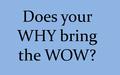 Does your WHY bring the WOW?. Reality Makers: Know the impact that their WHY has on the….