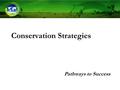 Conservation Strategies Pathways to Success. Conservation strategy: a strategic action or set of strategic actions designed to achieve a specific objective.