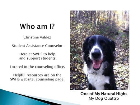 Who am I? Christine Valdez Student Assistance Counselor Here at SWHS to help and support students. Located in the counseling office. Helpful resources.