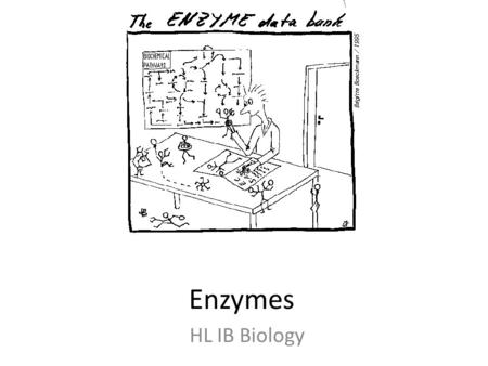 Enzymes HL IB Biology. STARTER: As a group discuss possible definitions for the key terms below Competitive inhibition Non-competitive inhibition Activation.