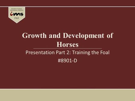 Growth and Development of Horses Presentation Part 2: Training the Foal #8901-D.