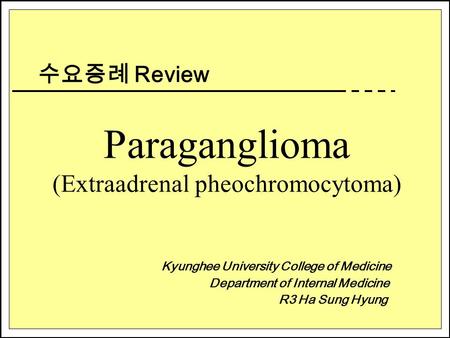 Paraganglioma (Extraadrenal pheochromocytoma) 수요증례 Review