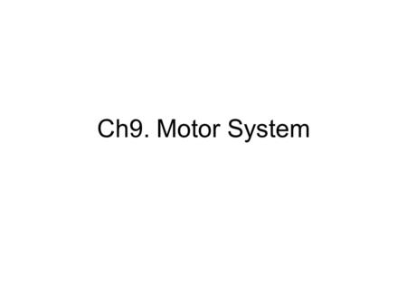 Ch9. Motor System.