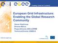 EGEE-III INFSO-RI-222667 Enabling Grids for E-sciencE www.eu-egee.org EGEE and gLite are registered trademarks Steven Newhouse Director EGI.eu Project.