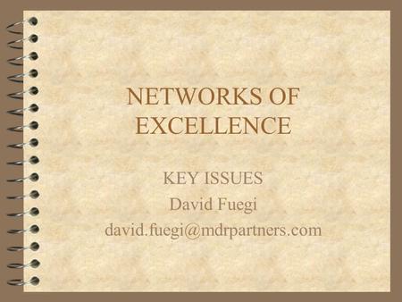 NETWORKS OF EXCELLENCE KEY ISSUES David Fuegi