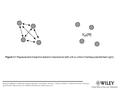 Structural Methods in Molecular Inorganic Chemistry, First Edition. David W. H. Rankin, Norbert W. Mitzel and Carole A. 2013 John Wiley & Sons,