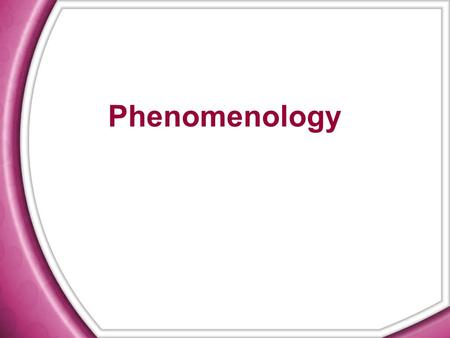 Phenomenology. Phenomenological method  The process of learning and constructing the meaning of human experiences  To understand the meaning of the.