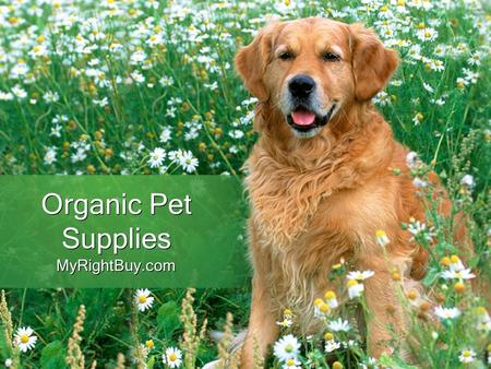 Organic Pet Supplies MyRightBuy.com. Benefits of Organic Pet Supplies Organic products are eco-friendly as well and production of these foods is totally.