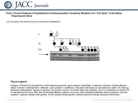 Date of download: 6/22/2016 Copyright © The American College of Cardiology. All rights reserved. From: Clinical Features of Hypertrophic Cardiomyopathy.