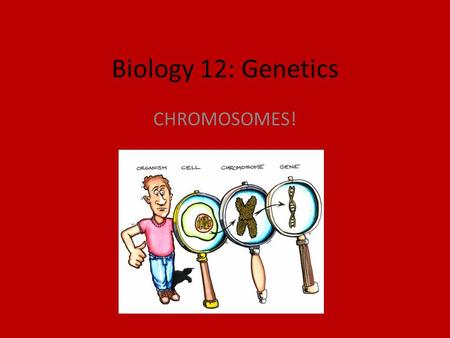 Biology 12: Genetics CHROMOSOMES!. CELL REVIEW All living things are made up of cells (skin, muscle, blood, nerve) Work like a factory to keep us functioning.