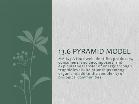 MA 6.3 A food web identifies producers, consumers, and decomposers, and explains the transfer of energy through trophic levels. Relationships among organisms.