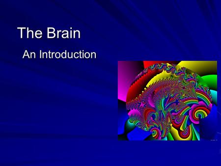 The Brain An Introduction. I. Components of the Brain A. Cerebrum Hemispheres (2) B. Diencephalon C. Brain Stem D. Cerebellum.