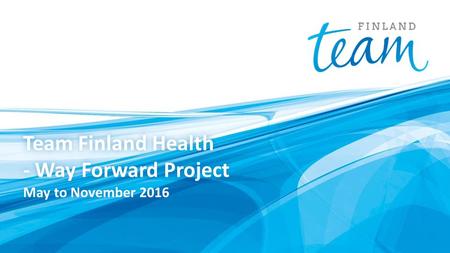 Team Finland Health - Way Forward Project May to November 2016