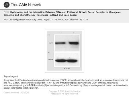 Date of download: 6/22/2016 Copyright © 2016 American Medical Association. All rights reserved. From: Hyaluronan and the Interaction Between CD44 and Epidermal.