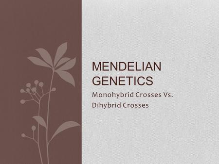 Monohybrid Crosses Vs. Dihybrid Crosses MENDELIAN GENETICS.