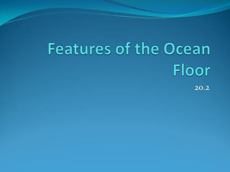 20.2. Continental Margins The line that divides the continental crust from the oceanic crust is not always obvious. Shorelines are not the true boundaries.