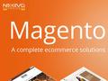 What Is The Major Advantages Magento Platform? Group: It ' s huge, it ' s skilled, and it ' s developing Quick. Support: Minimal for the free Community.