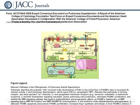 Date of download: 6/22/2016 Copyright © The American College of Cardiology. All rights reserved. From: ACCF/AHA 2009 Expert Consensus Document on Pulmonary.