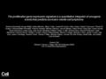 The proliferation gene expression signature is a quantitative integrator of oncogenic events that predicts survival in mantle cell lymphoma Andreas Rosenwald,