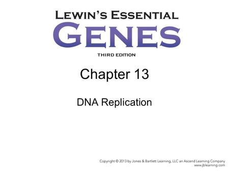 Chapter 13 DNA Replication