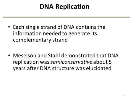 DNA Replication Each single strand of DNA contains the information needed to generate its complementary strand Meselson and Stahl demonstrated that DNA.