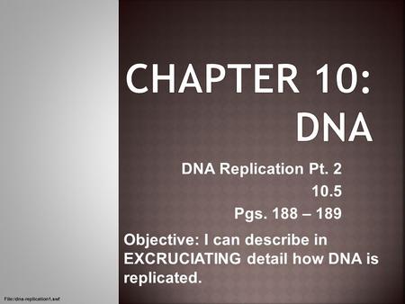 DNA Replication Pt. 2 10.5 Pgs. 188 – 189 Objective: I can describe in EXCRUCIATING detail how DNA is replicated. File:/dna-replication1.swf.