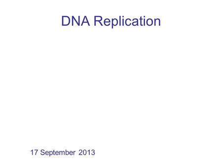 DNA Replication 17 September 2013. Note: On all figures: Template strand (parental DNA) in orange Primer strand (newly synthesized DNA) in red.